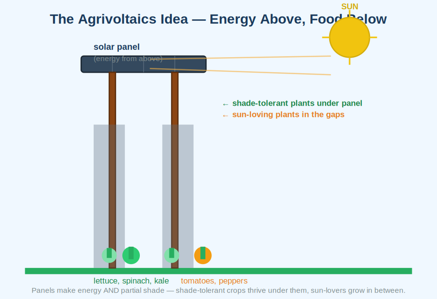 Agrivoltaics concept